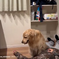 心配するイヴちゃん