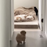 めんまちゃん「えっ…」