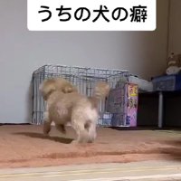 急いでケージの中へ！！