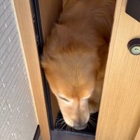 お手伝いするホット君2