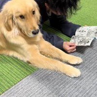 お兄ちゃんとべる君3