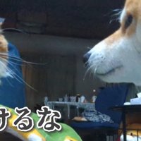 気まずい空気…！