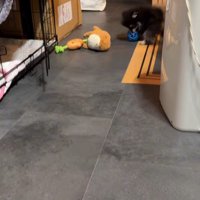 明るいところは平気♪