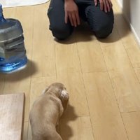 「ごめんなさい…」