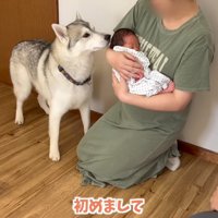 「初めまして」