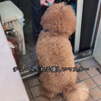 喫茶店のマスターと小型犬