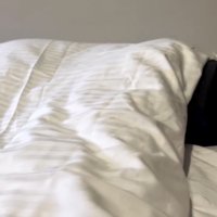 布団から少し見える黒い影