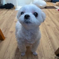 見上げる
