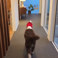 サンタごっこをするププくんと女の子3