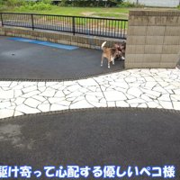 転んだら心配してくれるペコちゃん