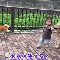 お水の時間になると…