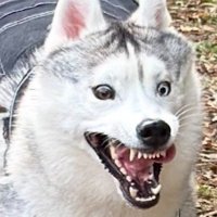 投稿主さんも思わず恐怖