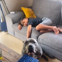 カメラ目線のハルクくん