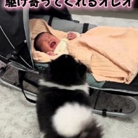 誰よりも早く赤ちゃんの元へ