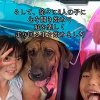 笑顔の犬と女の子たち