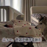 息をしているかチェック！