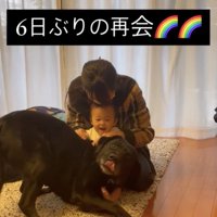 赤ちゃんにピタッ