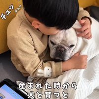 ポトフちゃんをギュー♡