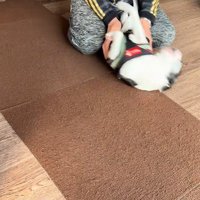 再会の喜びを分かち合う2人