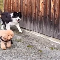 車椅子でお散歩