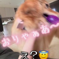 「もっとちゃんと遊んで！」