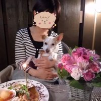 女性に抱っこされている犬とバースデープレート