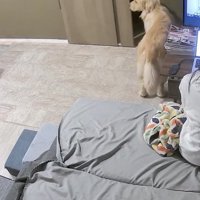 ドアを開けてみる