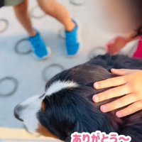 小学生に話しかけられる超大型犬2