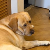 振り返り