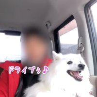 ご機嫌なぽてちゃん