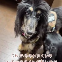 今後のヘアスタイルに乞うご期待！