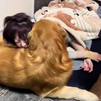 布団を取られたソララちゃん