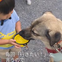 散歩に行きたがる男の子