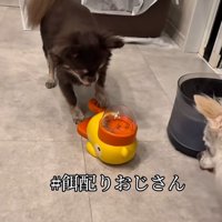 おやつを配るこげまる君