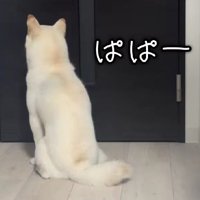 「パパ…」
