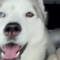 「動物病院だ～！！」