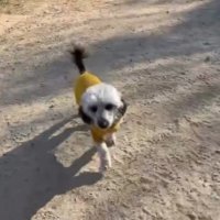 「パパ、大丈夫…？」