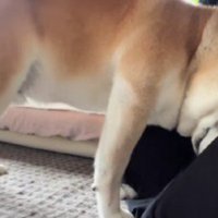「寂しかったよ」