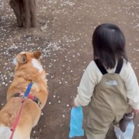 散歩する犬と女の子