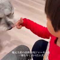 もなかちゃんの成長6