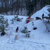 広い敷地でのびのび運動