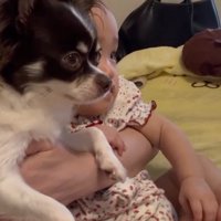 そっくりな双子のよう