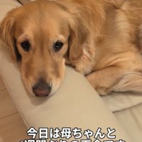 まるちゃんとママさんの再会