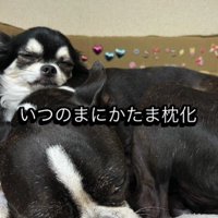 とっても穏やかな表情に…♡