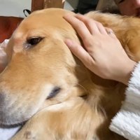 満足そう♡