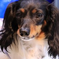 これからも幸せにね！！