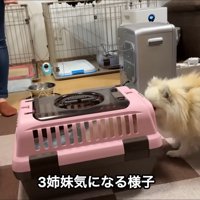 先輩たちとのご対面