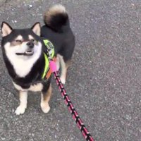 「そろそろ春かな？」