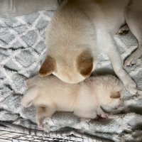 日々成長