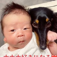 赤ちゃんと犬3